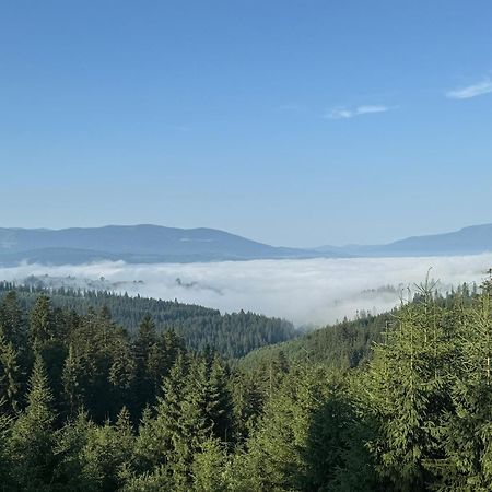 Golden Nest Διαμέρισμα Yablunytsya Εξωτερικό φωτογραφία