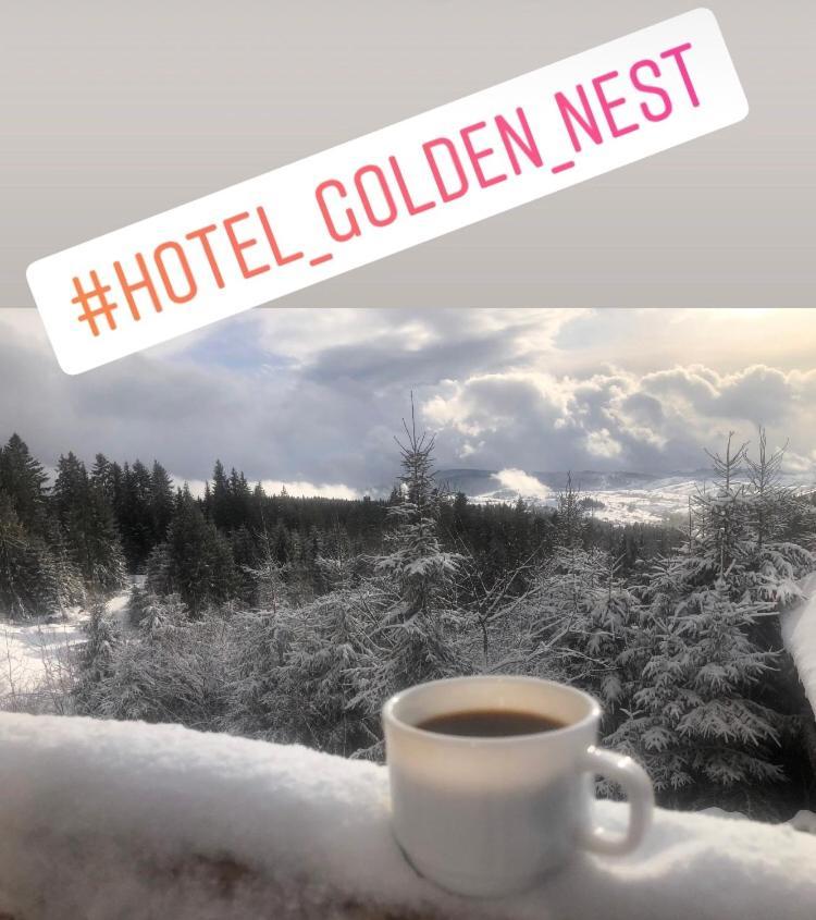 Golden Nest Διαμέρισμα Yablunytsya Εξωτερικό φωτογραφία