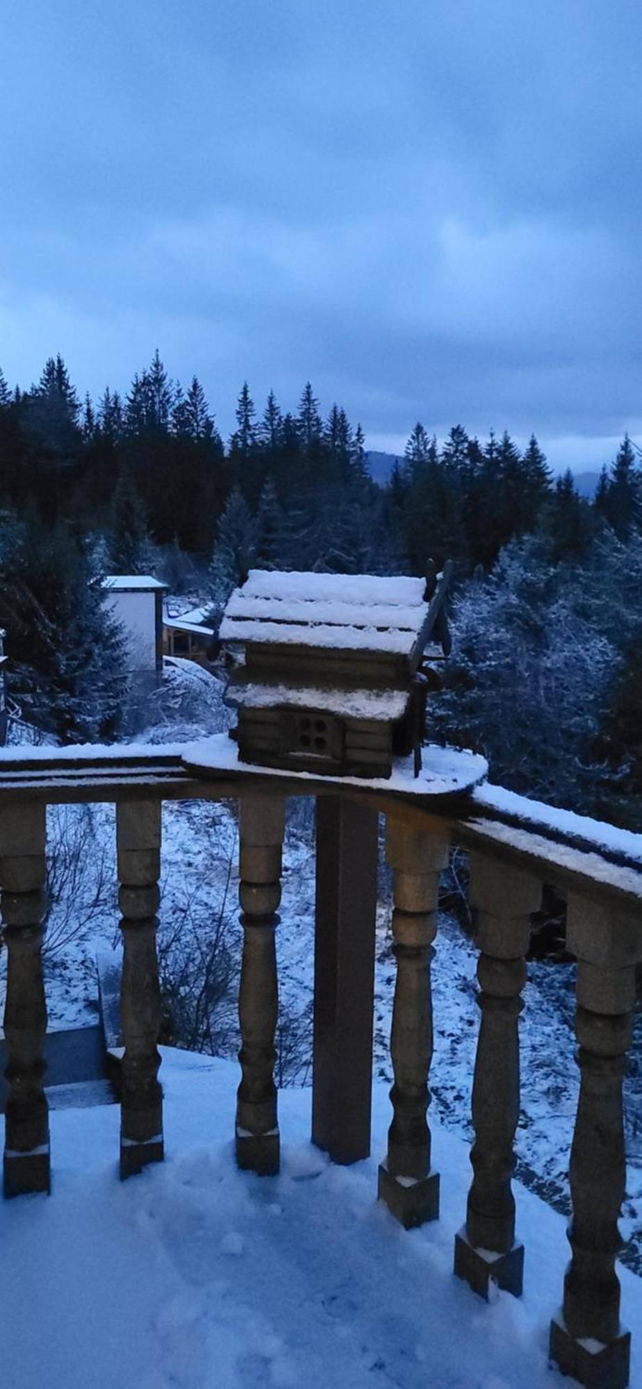 Golden Nest Διαμέρισμα Yablunytsya Εξωτερικό φωτογραφία