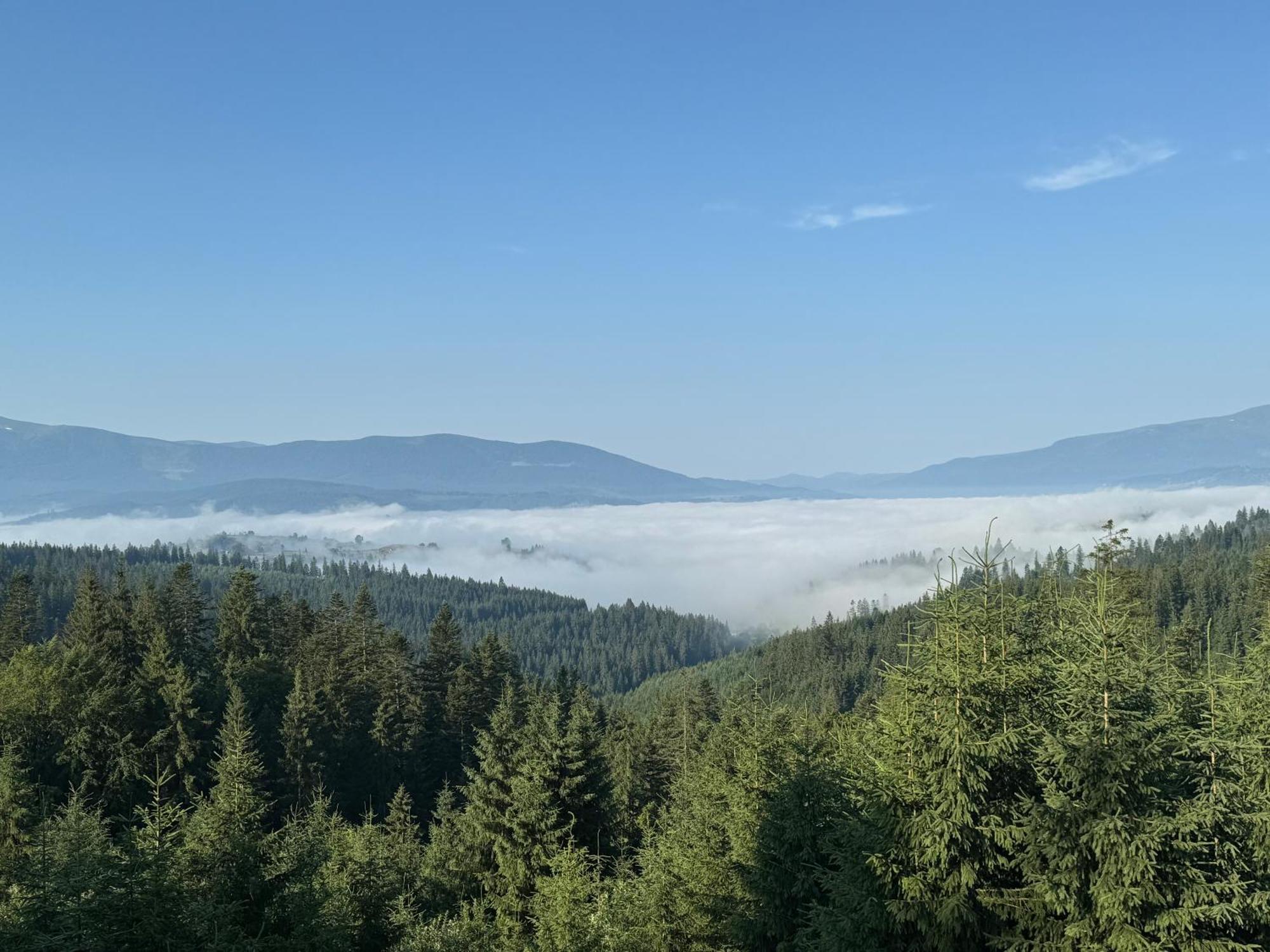 Golden Nest Διαμέρισμα Yablunytsya Εξωτερικό φωτογραφία