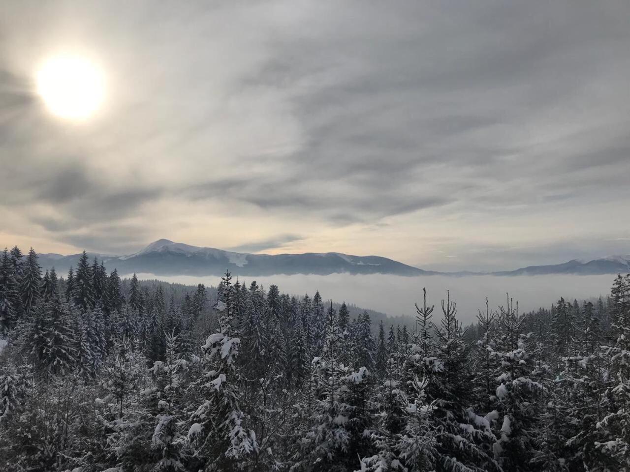 Golden Nest Διαμέρισμα Yablunytsya Εξωτερικό φωτογραφία
